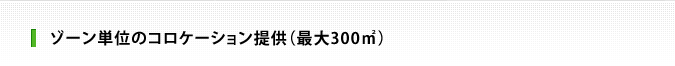 ゾーン単位のコロケーション提供（最大300㎡）