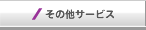 ̑T[rX