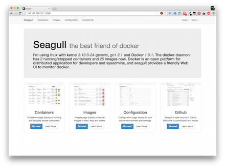seagull-top