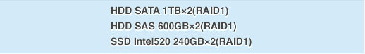 HDD SATA 1TB×2(RAID1) HDD SAS 600GB×2(RAID1) SSD Intel520 240GB×2(RAID1)