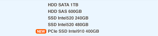 HDD SATA 1TB, HDD SAS 600GB, SSD Intel520 240GB, SSD Intel520 480GB