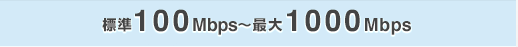 標準100Mbps〜最大1000Mbps