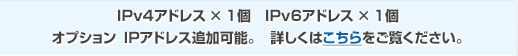 IPv4アドレス×1個 IPv6アドレス×1個 オプション IPアドレス追加可能