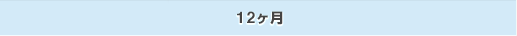 12ヶ月