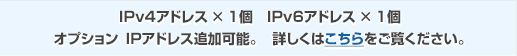 IPv4アドレス×1個 IPv6アドレス×1個 オプション IPアドレス追加可能