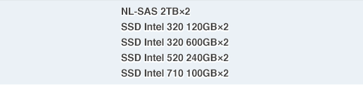 HDD SAS 2TB×2, SSD Intel 320 120GB×2, SSD Intel 320 600GB×2, SSD Intel 520 240GB×2, SSD Intel 710 100GB×2