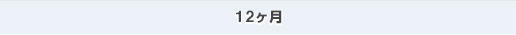 12ヶ月