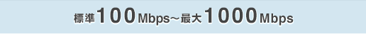 標準100Mbps〜最大1000Mbps