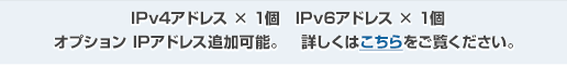 IPv4アドレス×1個 IPv6アドレス×1個 オプションIPアドレス追加可能