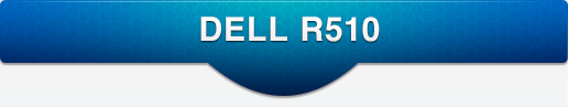 DELL R510