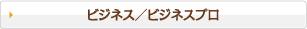 ビジネス／ビジネスプロ