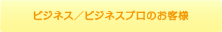 ビジネス／ビジネスプロのお客様