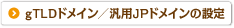 gTLDドメイン／汎用JPドメインの設定