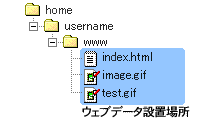 /home/account/www/