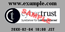 transparent_large-3