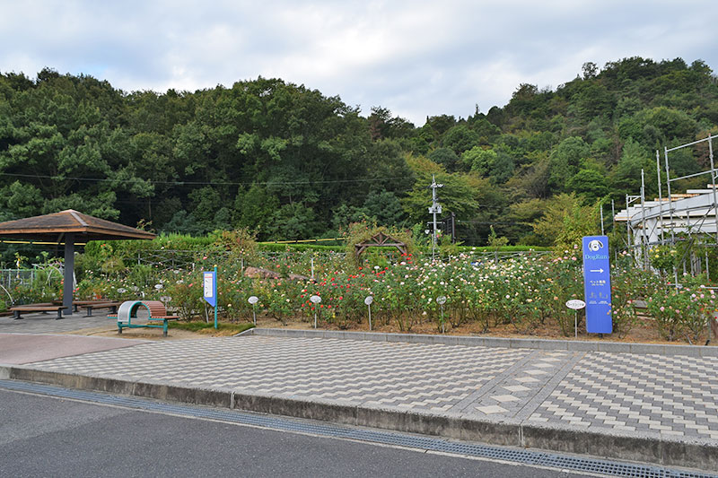 f:id:sakumaga:20191220162450j:plain