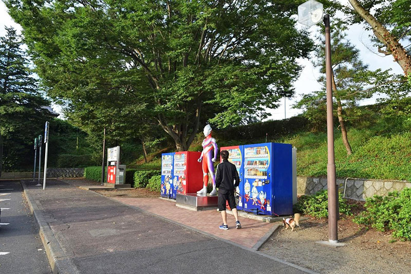 完全に寝不足
