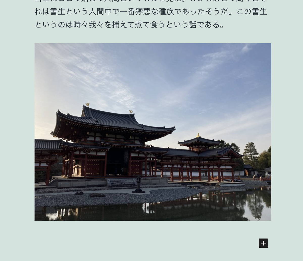 このように画像が挿入されます