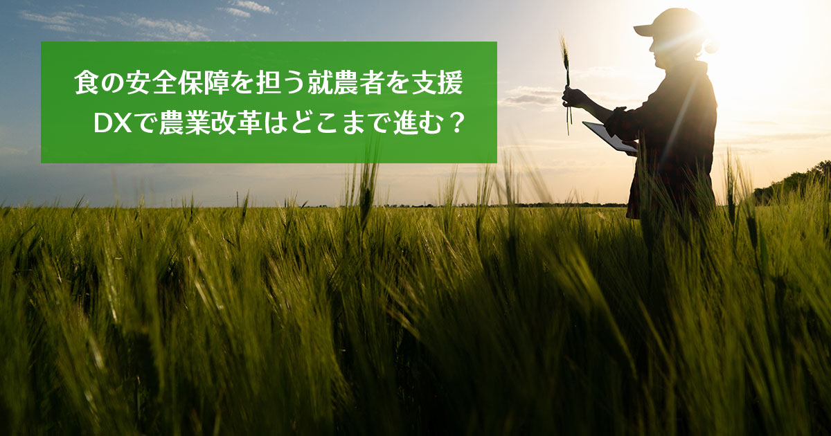 食の安全保障を担う就農者を支援　DXで農業改革はどこまで進む？