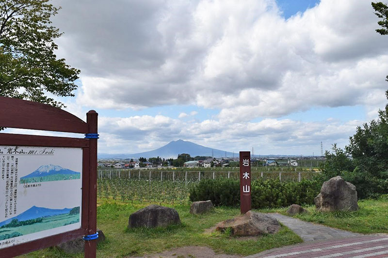 f:id:sakumaga:20200221152328j:plain