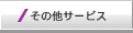 ̑T[rX