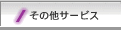 ̑T[rX