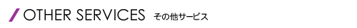 ̑T[rX