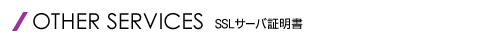 SSLT[oؖ