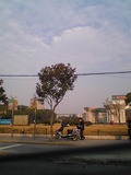 2004_se_sh-4.JPG
