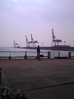 20050410-nanko1.JPG