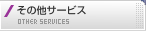 ̑T[rX