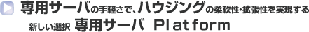 pT[o ̎yŁAnEWO ̏_EgVI pT[o Platform